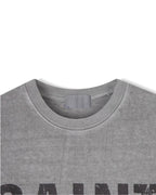 Saint Pigment Heavy Crop T-Shirt